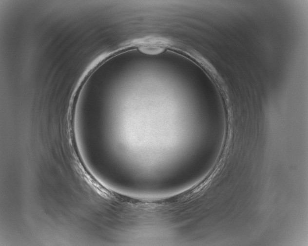 X0000080791248200612151446