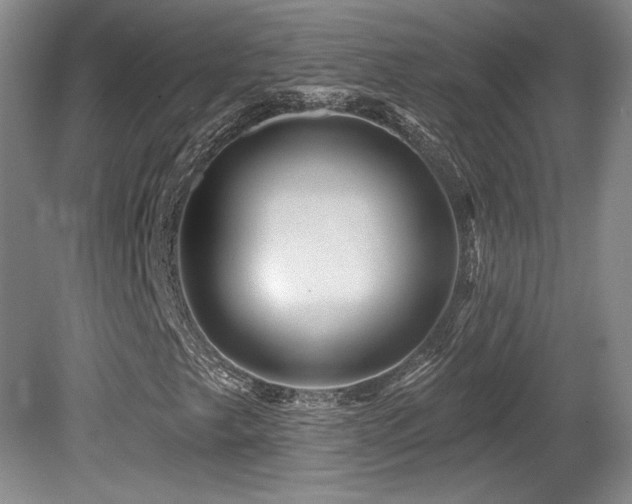 X0000080791249200612151446