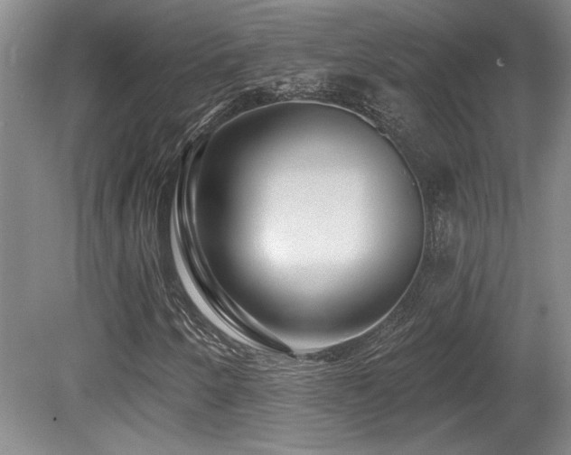 X0000080791250200612151446