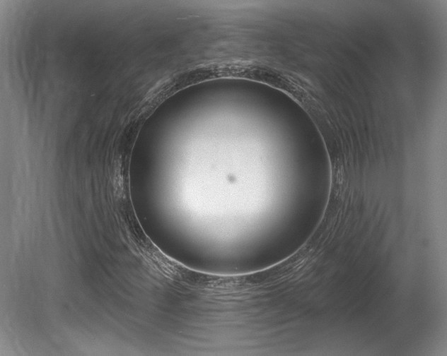 X0000080791252200612151446