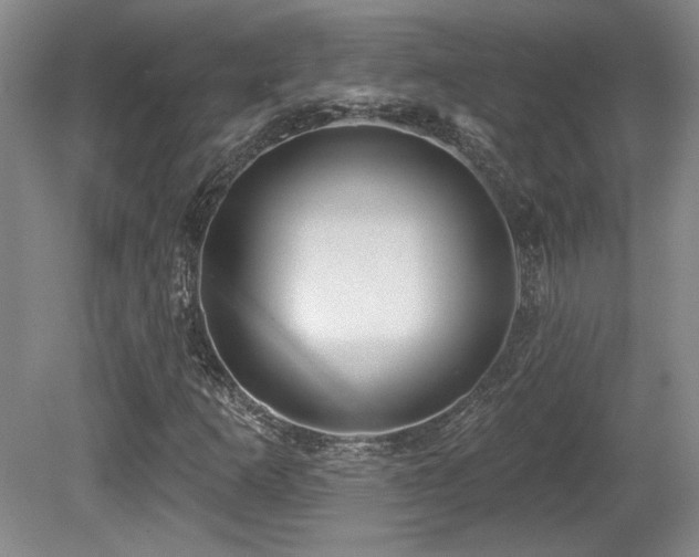 X0000080791253200612151446