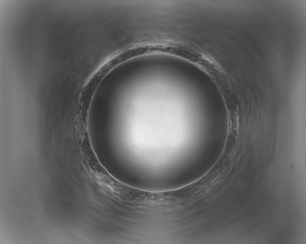 X0000080791256200612151446