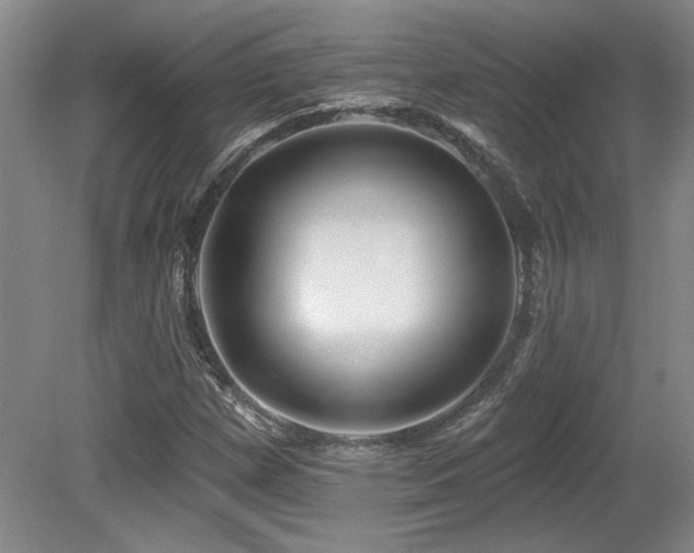 X0000080791257200612151446
