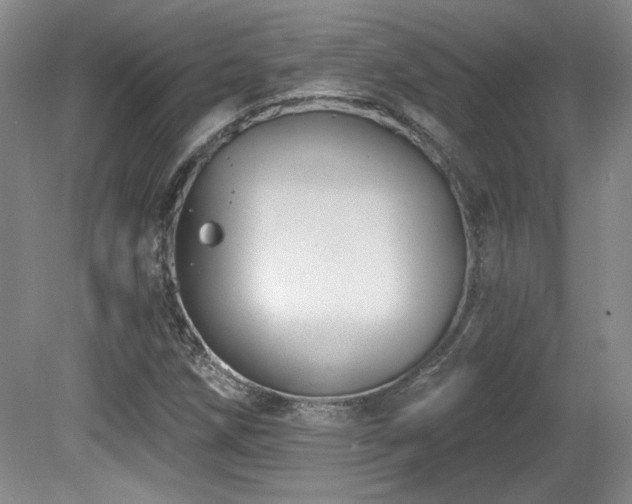 X0000080791258200612151445