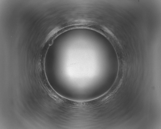 X0000080791259200612151445