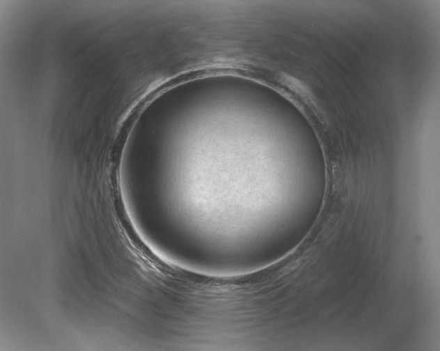 X0000080791260200612151445