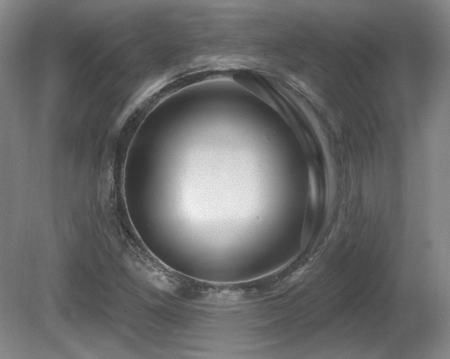 X0000080791261200612151445