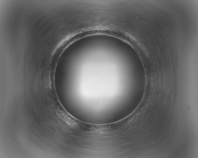 X0000080791262200612151445