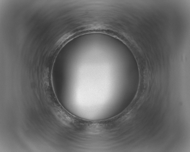 X0000080791265200612151445