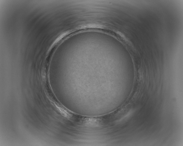X0000080791266200612151445