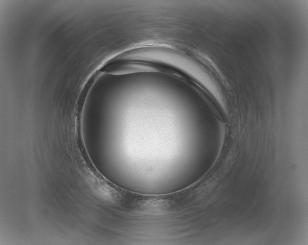 X0000080791268200612151445