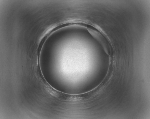 X0000080791269200612151445
