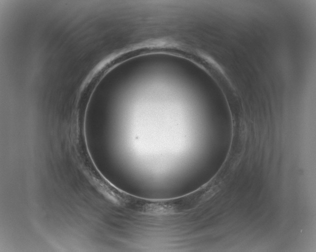 X0000080791270200612151445