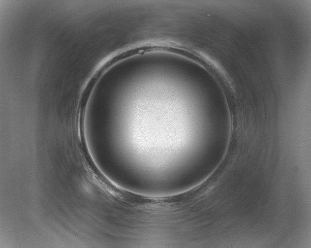 X0000080791272200612151445