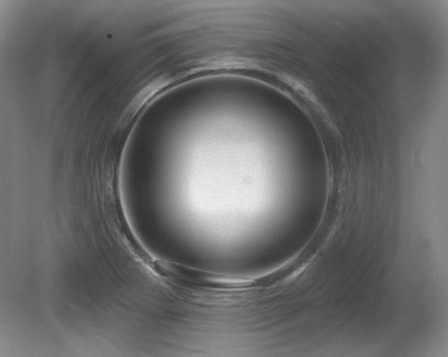 X0000080791273200612151445