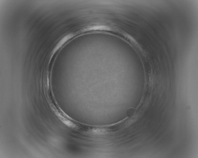 X0000080791274200612151445
