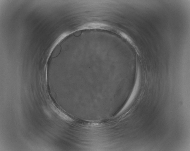 X0000080791275200612151445