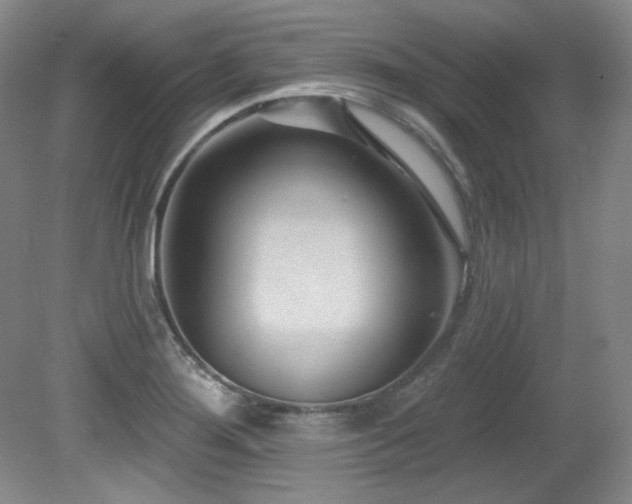 X0000080791276200612151445