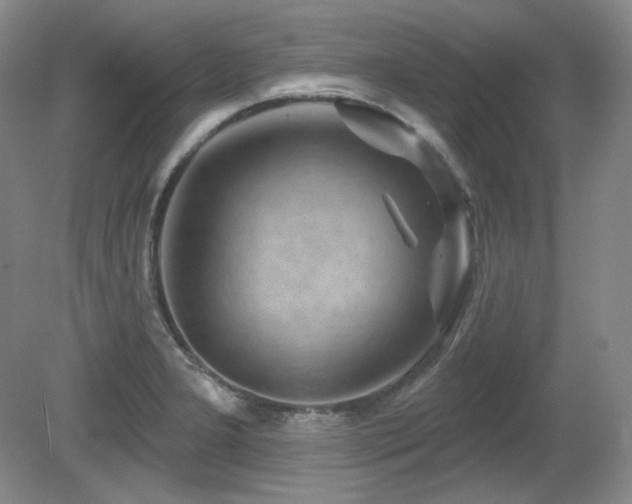 X0000080791277200612151445