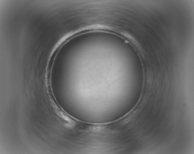 X0000080791278200612151445