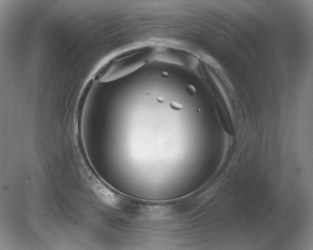 X0000080791280200612151445