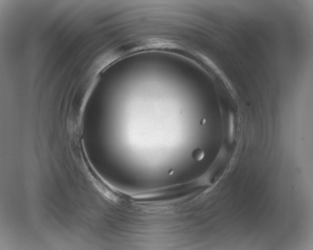 X0000080791281200612151445