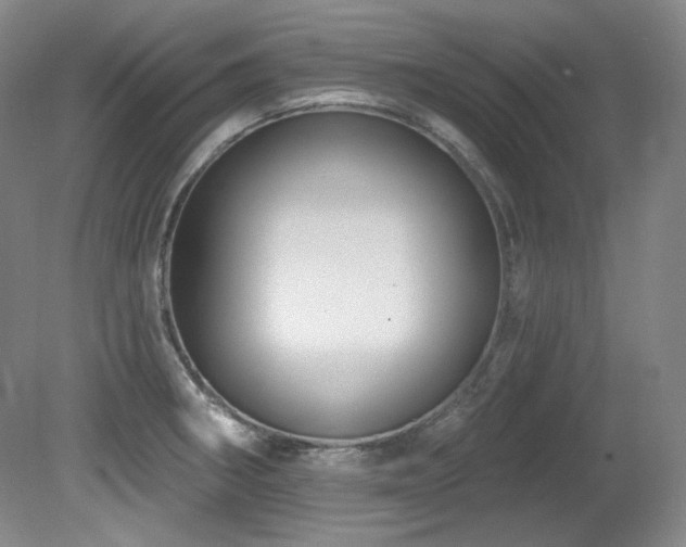 X0000080791282200612151445