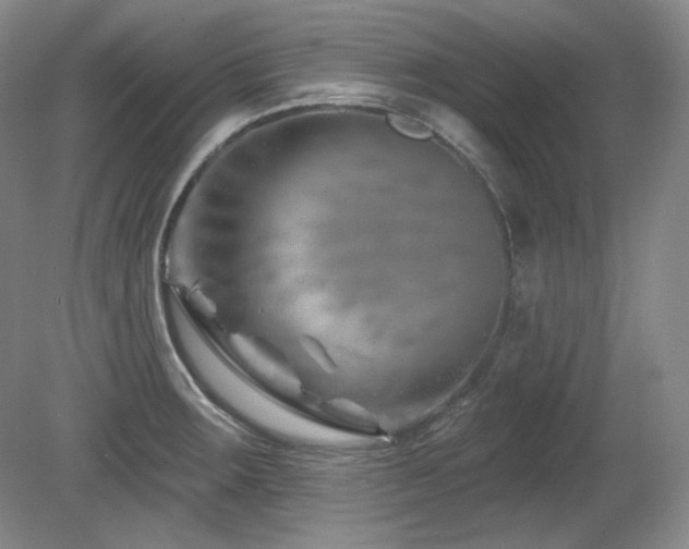 X0000080791283200612151445