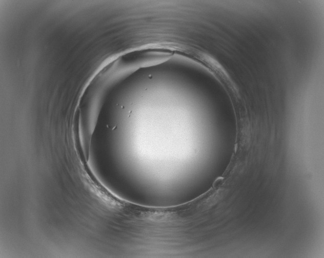 X0000080791284200612151445