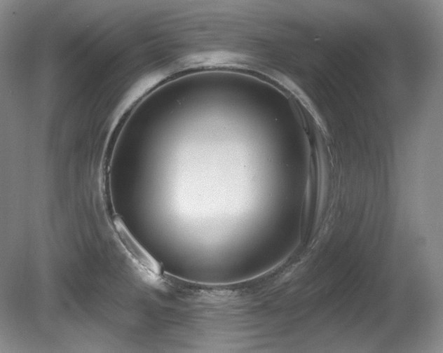 X0000080791285200612151445