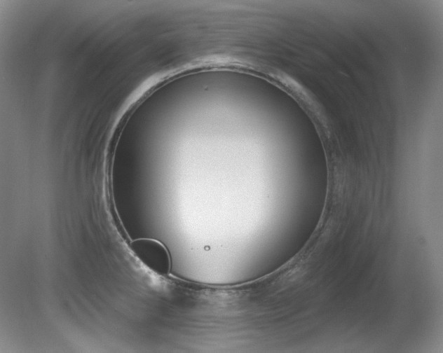 X0000080791286200612151445