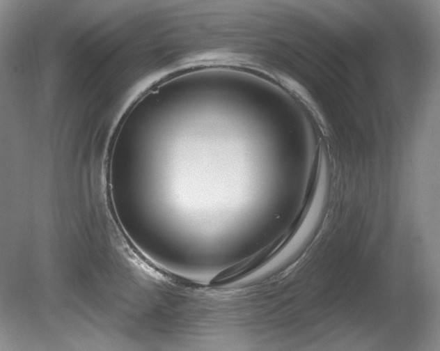X0000080791288200612151445