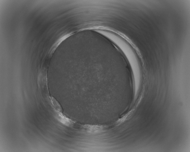 X0000080791289200612151445