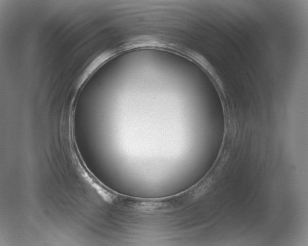 X0000080791290200612151445