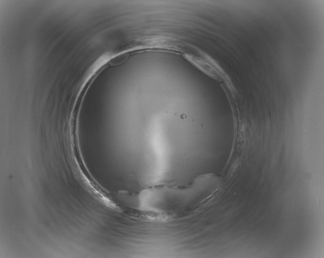 X0000080791291200612151445