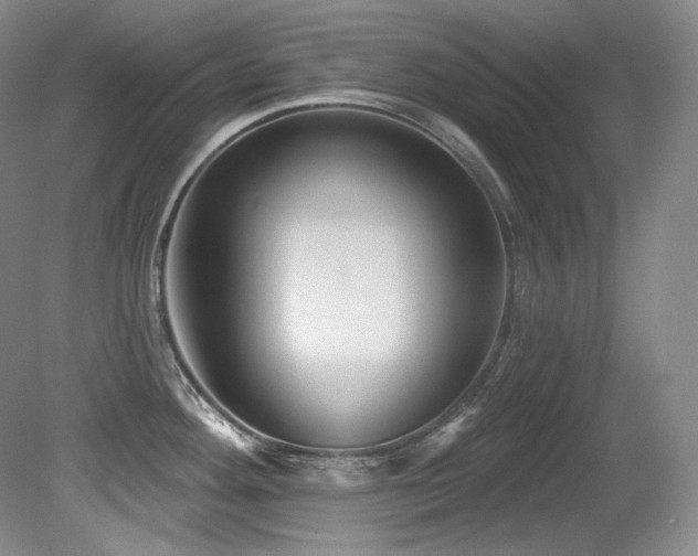 X0000080791292200612151445