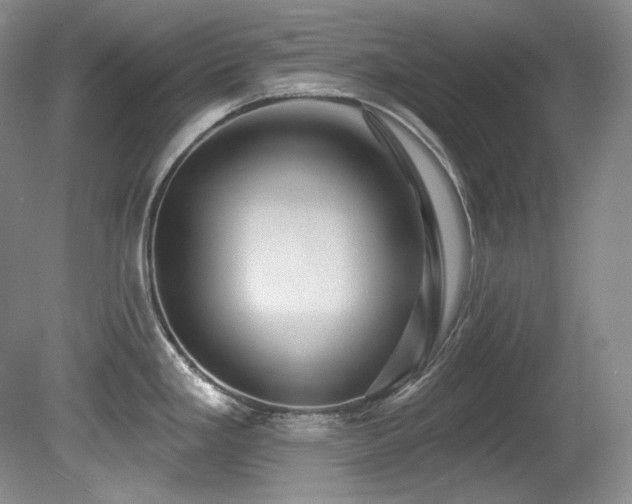 X0000080791293200612151445