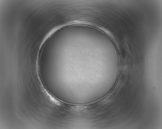 X0000080791294200612151445