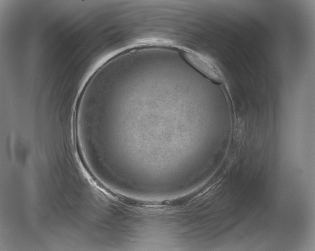 X0000080791295200612151445
