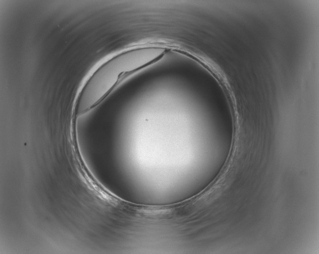 X0000080791296200612151445