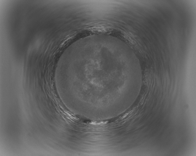 X0000080791297200612151444