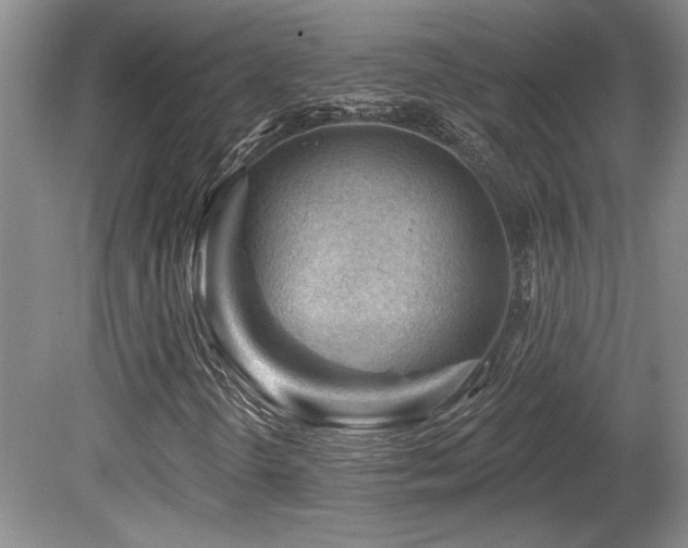 X0000080791298200612151444