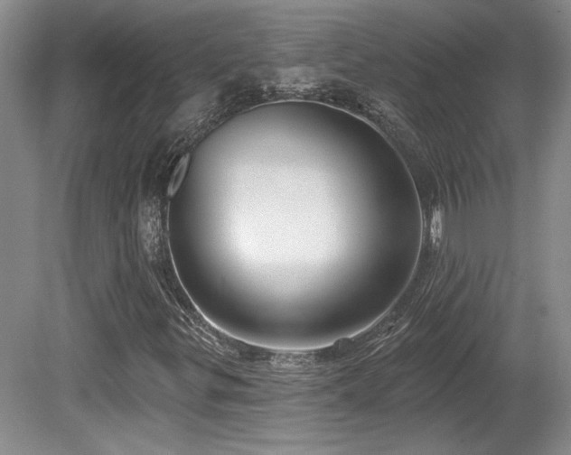 X0000080791299200612151444