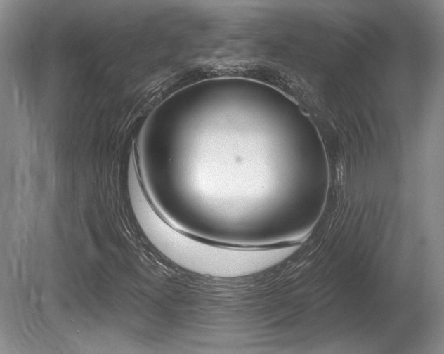 X0000080791300200612151444