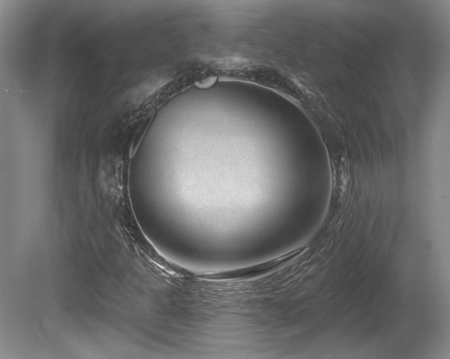 X0000080791301200612151444