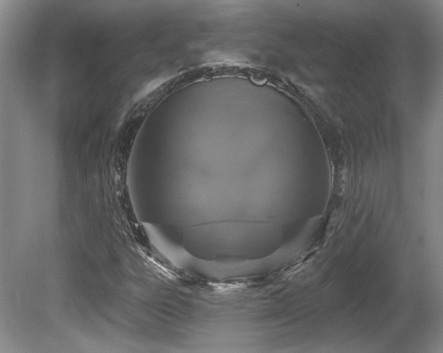 X0000080791303200612151444