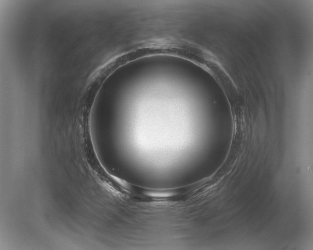 X0000080791304200612151444