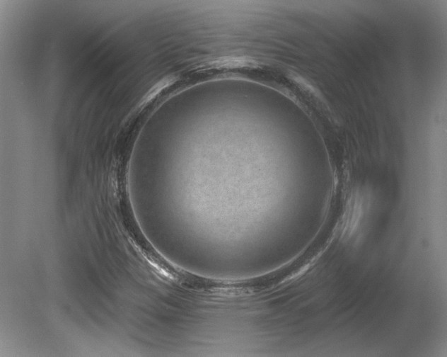 X0000080791305200612151444