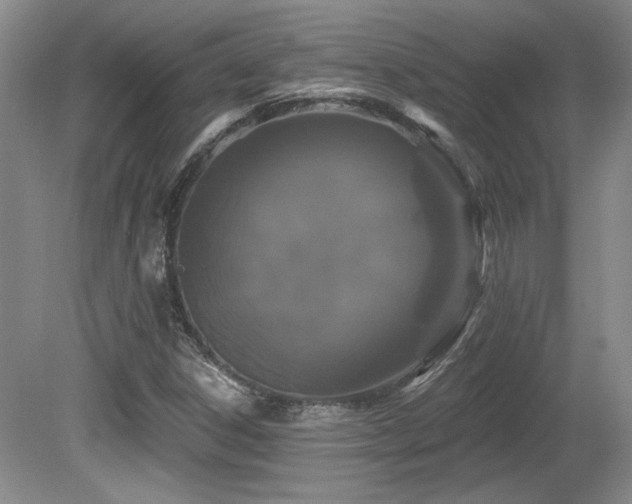 X0000080791306200612151444