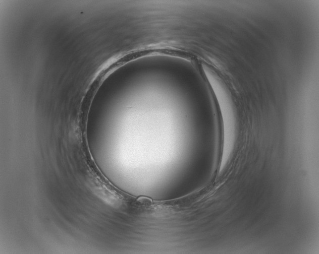 X0000080791308200612151444